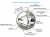 Станция ТОПОЛЬ 4 Пр Плюс в Петушках